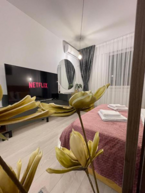 Palas Mall Perfect View Apartment